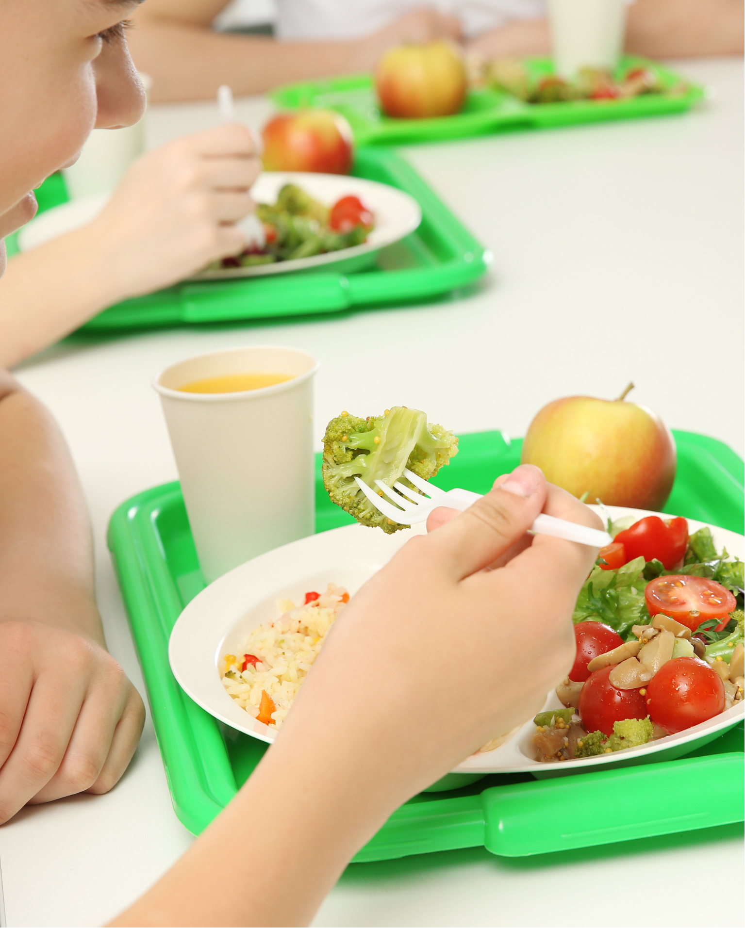 School Meal Offers
